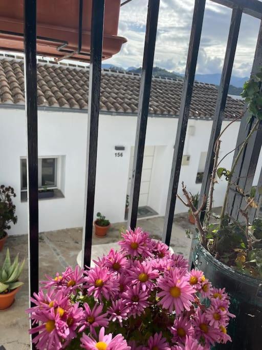 Villa Casa La Fuente Alta Algodonales Exterior foto