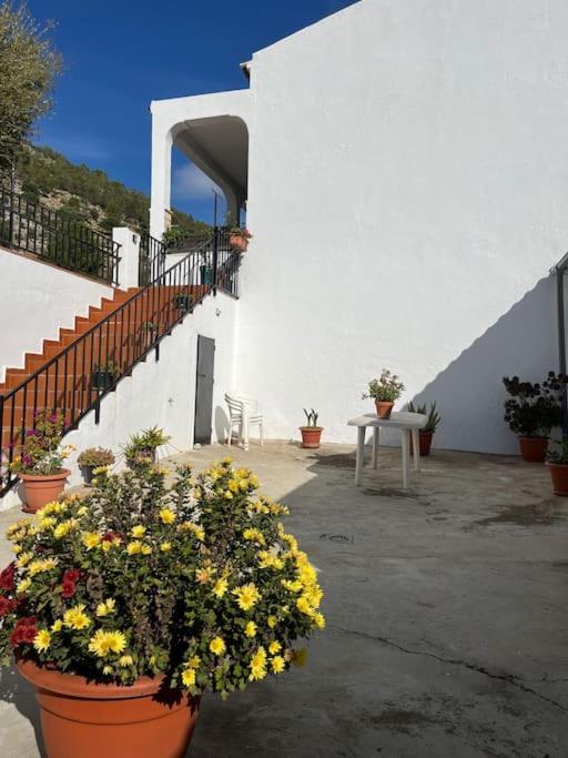 Villa Casa La Fuente Alta Algodonales Exterior foto
